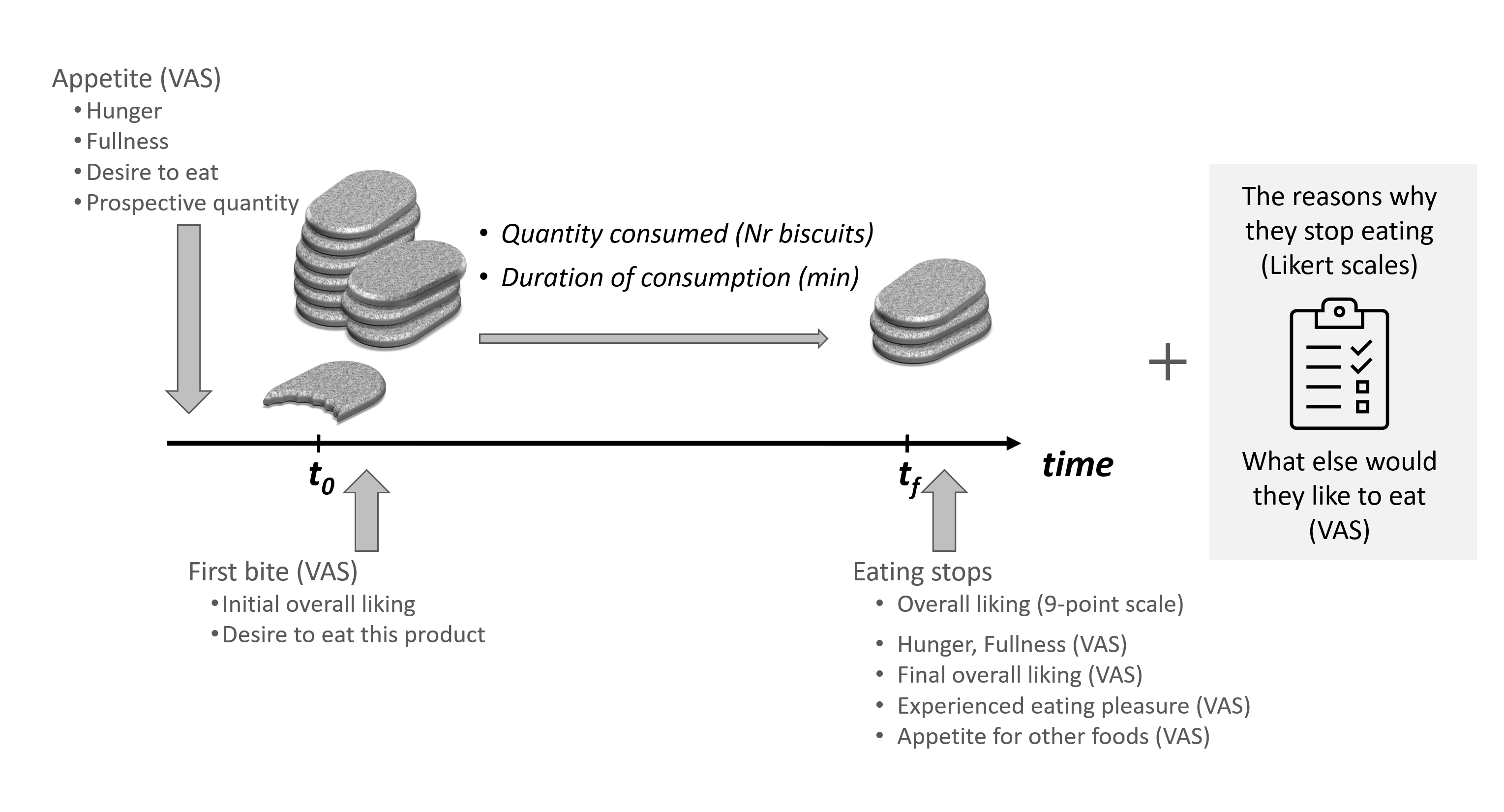 General design for the consumer test of the biscuit study. Participants were served with a different set of biscuits every session.
